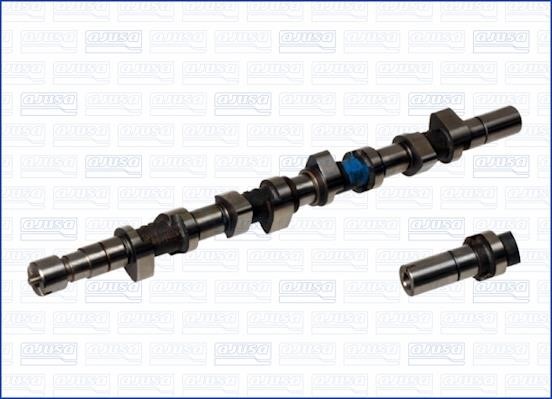 Wilmink Group WG1171170 Camshaft WG1171170