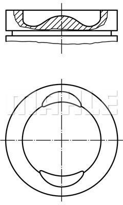 Wilmink Group WG1211928 Piston WG1211928