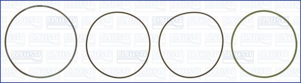 Wilmink Group WG1170253 O-rings for cylinder liners, kit WG1170253