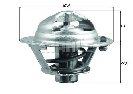 Wilmink Group WG1789692 Thermostat, coolant WG1789692