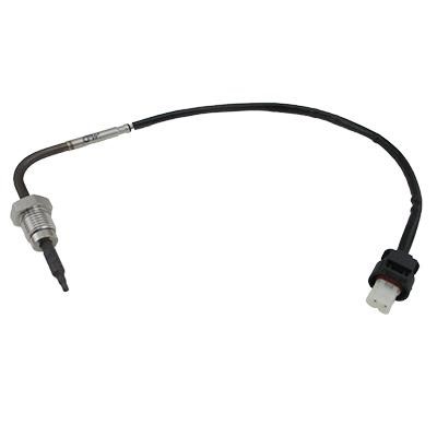 Wilmink Group WG1964685 Exhaust gas temperature sensor WG1964685