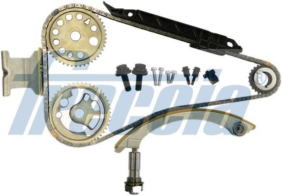 Wilmink Group WG1909991 Timing chain kit WG1909991