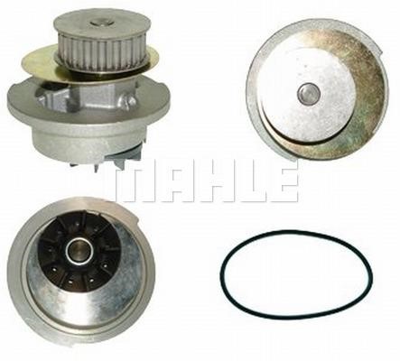 Wilmink Group WG2181624 Water pump WG2181624