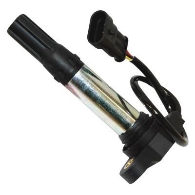 Wilmink Group WG1012498 Ignition coil WG1012498