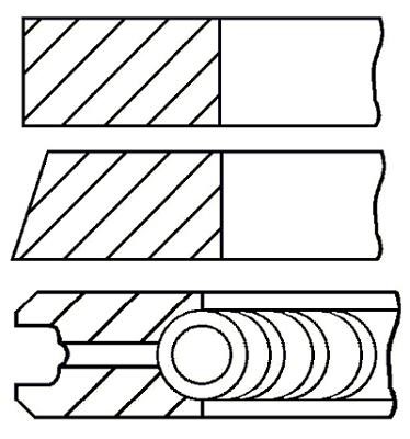 Wilmink Group WG1938971 Piston Ring Kit WG1938971