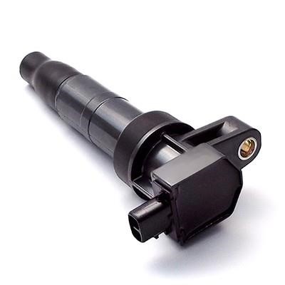 Wilmink Group WG1012428 Ignition coil WG1012428