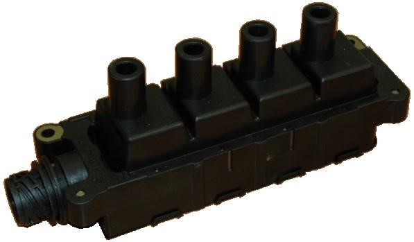 Wilmink Group WG1012211 Ignition coil WG1012211