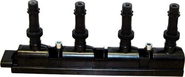 Wilmink Group WG1012418 Ignition coil WG1012418