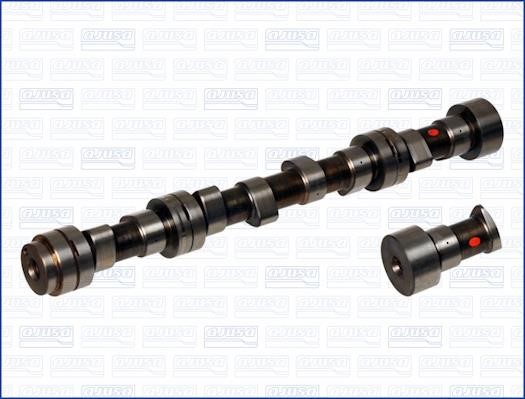 Wilmink Group WG1171499 Camshaft WG1171499