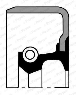 Wilmink Group WG1090824 Crankshaft oil seal WG1090824