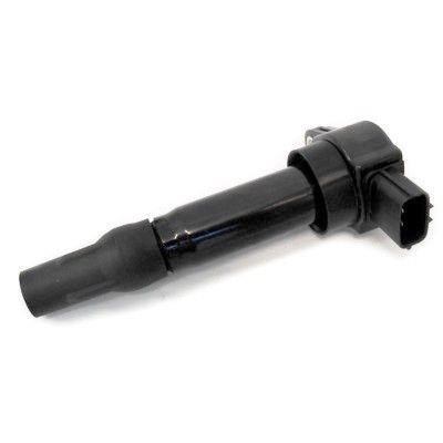 Wilmink Group WG1012419 Ignition coil WG1012419