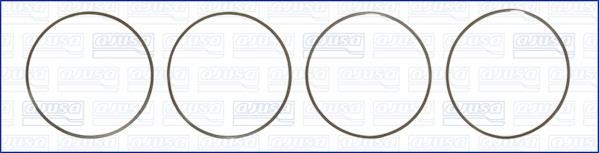 Wilmink Group WG1170208 O-rings for cylinder liners, kit WG1170208