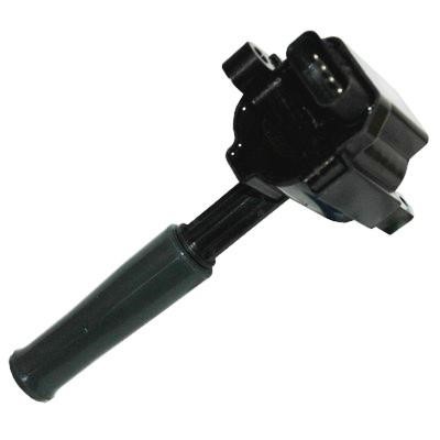 Wilmink Group WG1012517 Ignition coil WG1012517