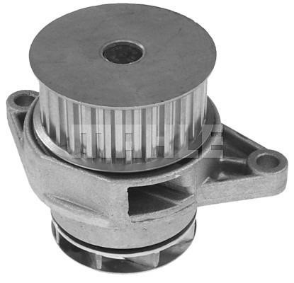 Wilmink Group WG2181519 Water pump WG2181519