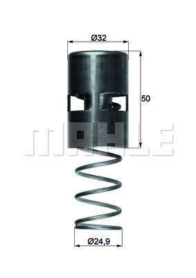 Wilmink Group WG1150039 Thermostat, coolant WG1150039