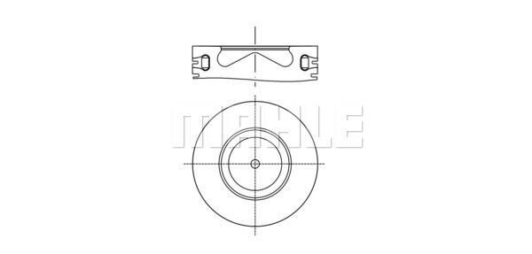 Wilmink Group WG1212389 Piston WG1212389