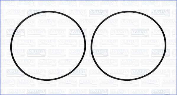 Wilmink Group WG1170258 O-rings for cylinder liners, kit WG1170258