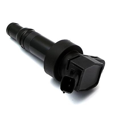 Wilmink Group WG1012436 Ignition coil WG1012436