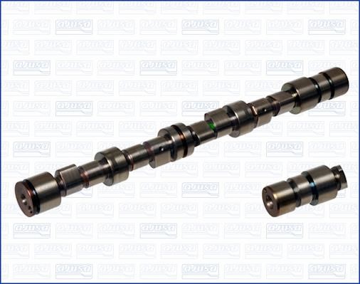 Wilmink Group WG1170791 Camshaft WG1170791