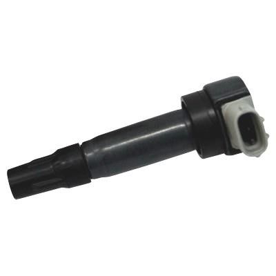 Wilmink Group WG1012460 Ignition coil WG1012460