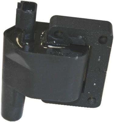 Wilmink Group WG1012262 Ignition coil WG1012262