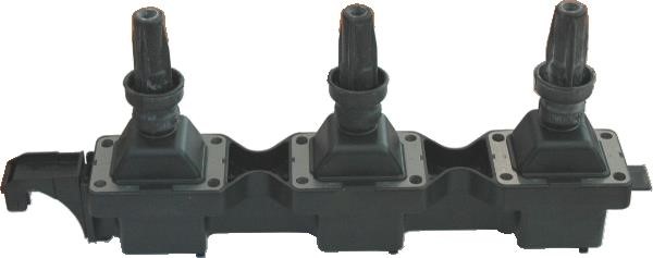 Wilmink Group WG1012295 Ignition coil WG1012295