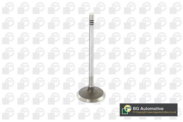 Wilmink Group WG1814458 Intake valve WG1814458