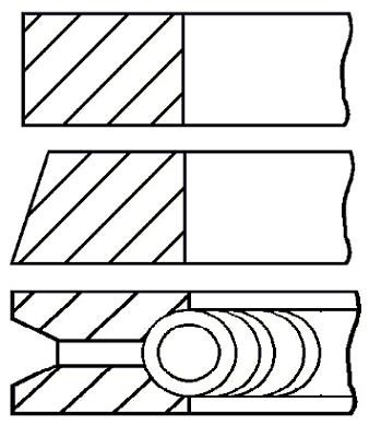 Wilmink Group WG1187129 Piston Ring Kit WG1187129