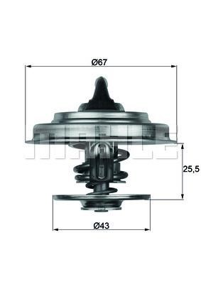 Wilmink Group WG1217898 Thermostat, coolant WG1217898