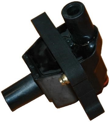 Wilmink Group WG1012153 Ignition coil WG1012153