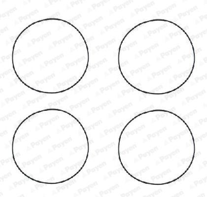 Wilmink Group WG1090644 O-rings for cylinder liners, kit WG1090644