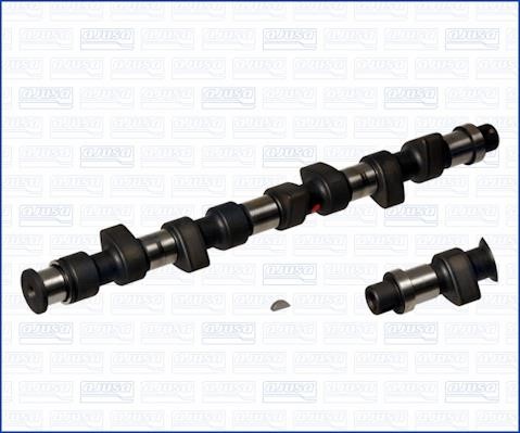 Wilmink Group WG1171315 Camshaft WG1171315