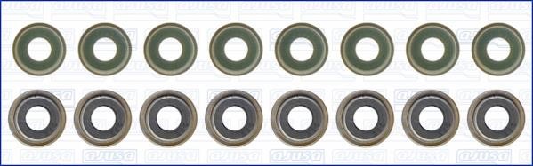 Wilmink Group WG1170051 Valve oil seals, kit WG1170051