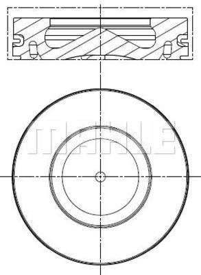 Wilmink Group WG1261171 Piston WG1261171