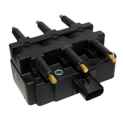 Wilmink Group WG1012455 Ignition coil WG1012455