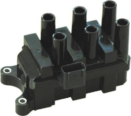 Wilmink Group WG1012387 Ignition coil WG1012387