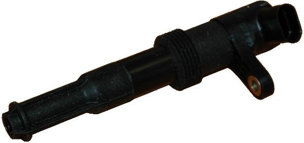Wilmink Group WG1012187 Ignition coil WG1012187