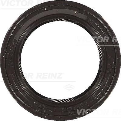 Wilmink Group WG1250253 Crankshaft oil seal WG1250253