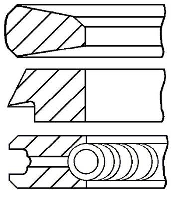 Wilmink Group WG1186725 Piston Ring Kit WG1186725