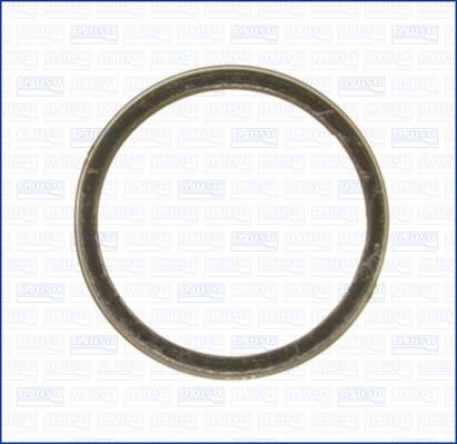 Wilmink Group WG1163681 O-ring exhaust system WG1163681
