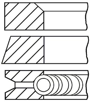 Wilmink Group WG1096452 Piston Ring Kit WG1096452