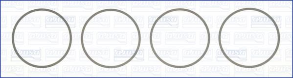 Wilmink Group WG1170212 O-rings for cylinder liners, kit WG1170212