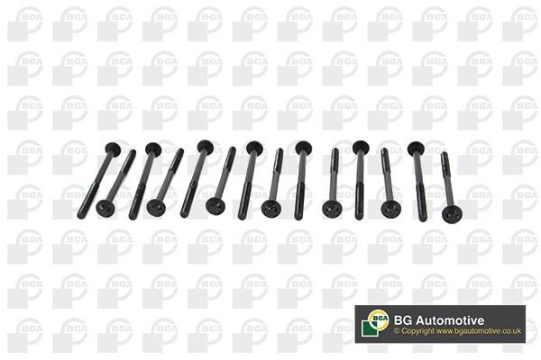 Wilmink Group WG1489956 Cylinder Head Bolts Kit WG1489956