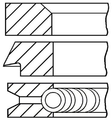 Wilmink Group WG1096351 Piston Ring Kit WG1096351