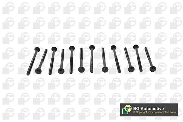 Wilmink Group WG1489955 Cylinder Head Bolts Kit WG1489955