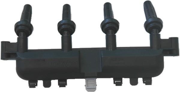 Wilmink Group WG1012156 Ignition coil WG1012156