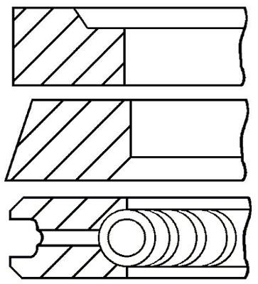 Wilmink Group WG1096424 Piston Ring Kit WG1096424