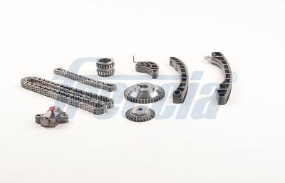 Wilmink Group WG2010494 Timing chain kit WG2010494