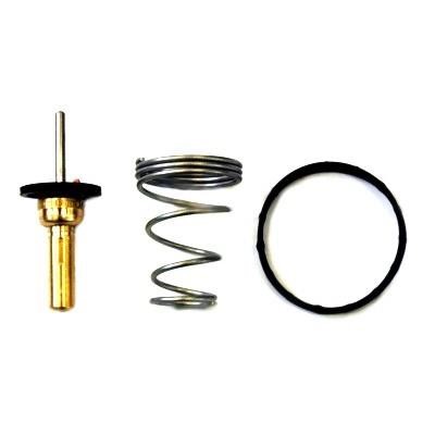 Wilmink Group WG1409527 Thermostat, coolant WG1409527