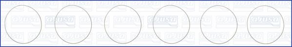 Wilmink Group WG1170210 O-rings for cylinder liners, kit WG1170210